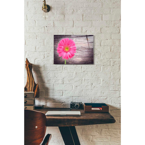 Epic Art "Friendship" Acrylic Glass Wall Art,12 x 16