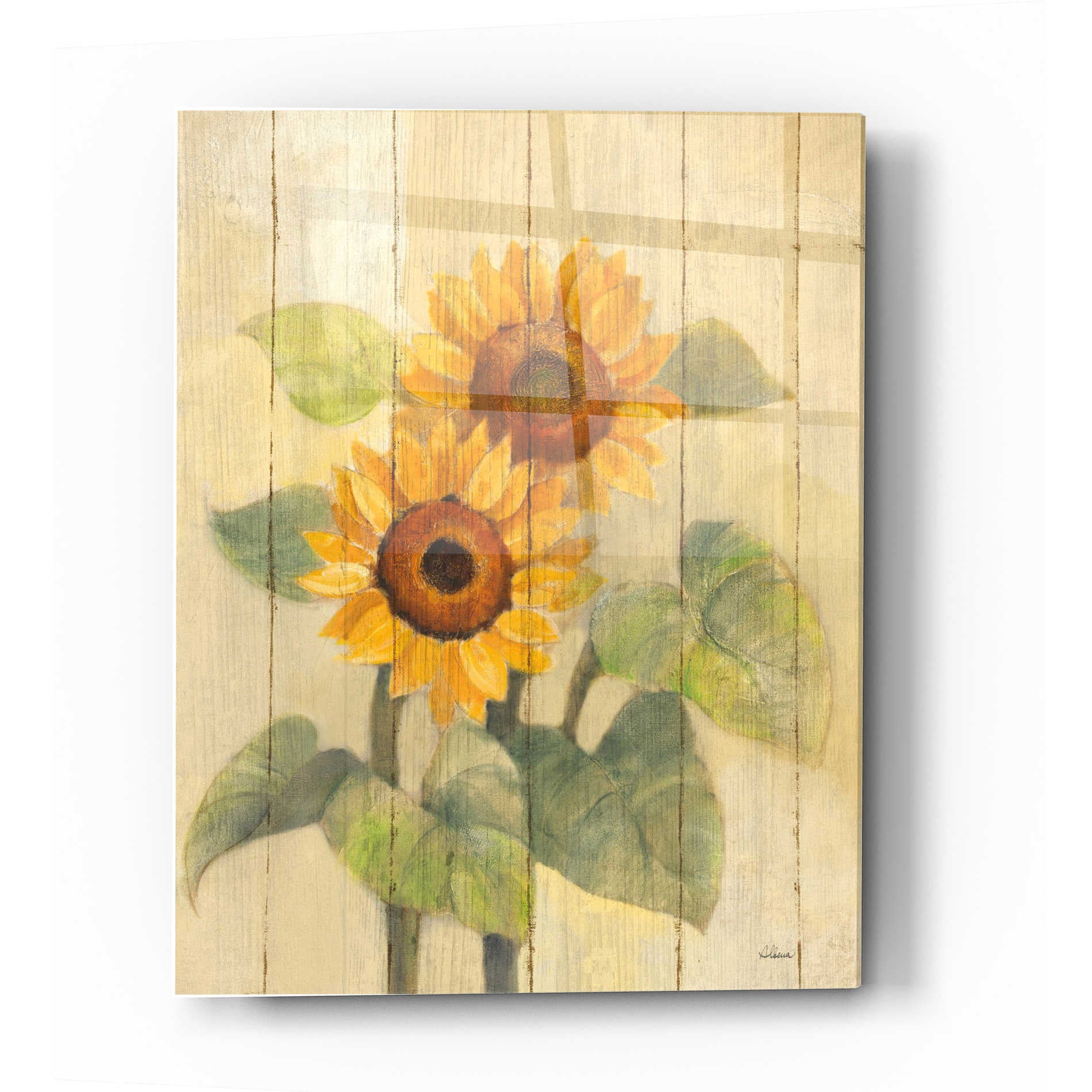 Epic Art 'Summer Sunflowers I on Barn Board' by Albena Hristova, Acrylic Glass Wall Art,12x16