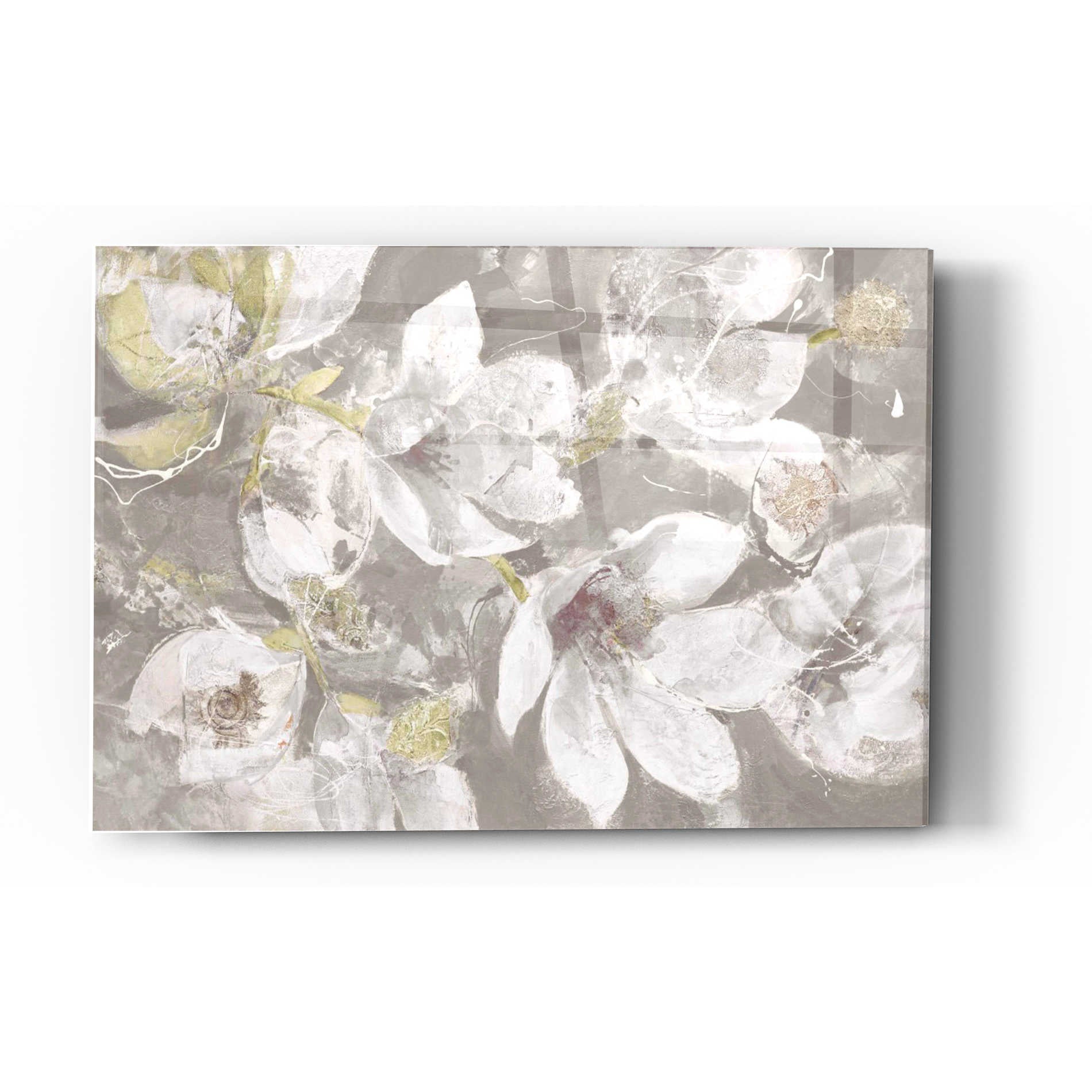 Epic Art 'Magnolias in Bloom Greige' by Albena Hristova, Acrylic Glass Wall Art,12x16