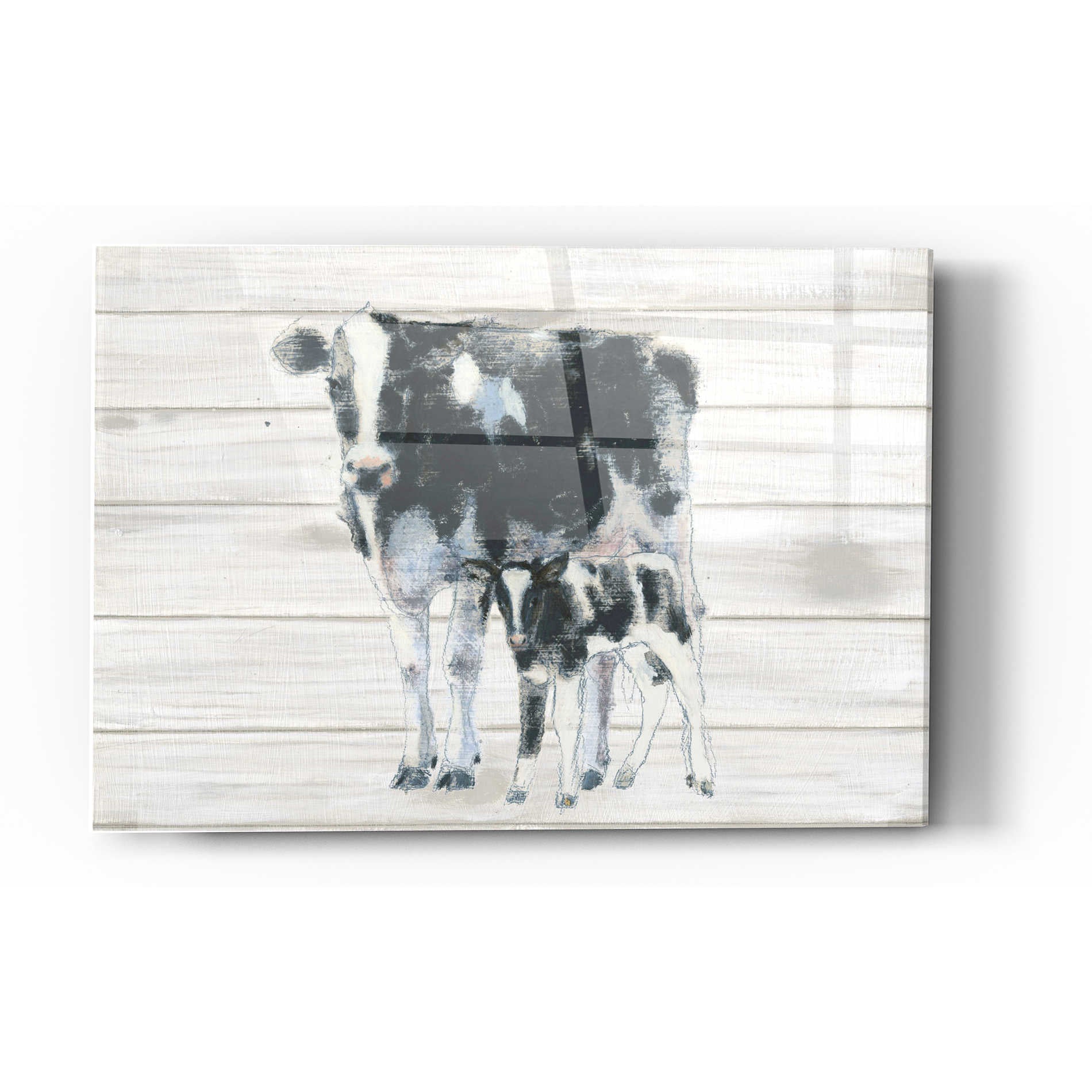 Epic Art 'Cow and Calf on Wood' by Emily Adams, Acrylic Glass Wall Art,12x16