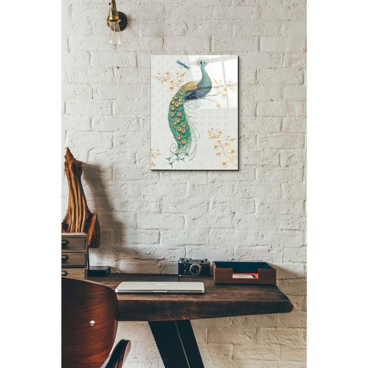Epic Art 'Ornate Peacock IXA' by Daphne Brissonet, Acrylic Glass Wall Art,12 x 16