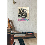 Epic Art 'Doko 2' by Elena Ray Acrylic Glass Wall Art,12 x 16