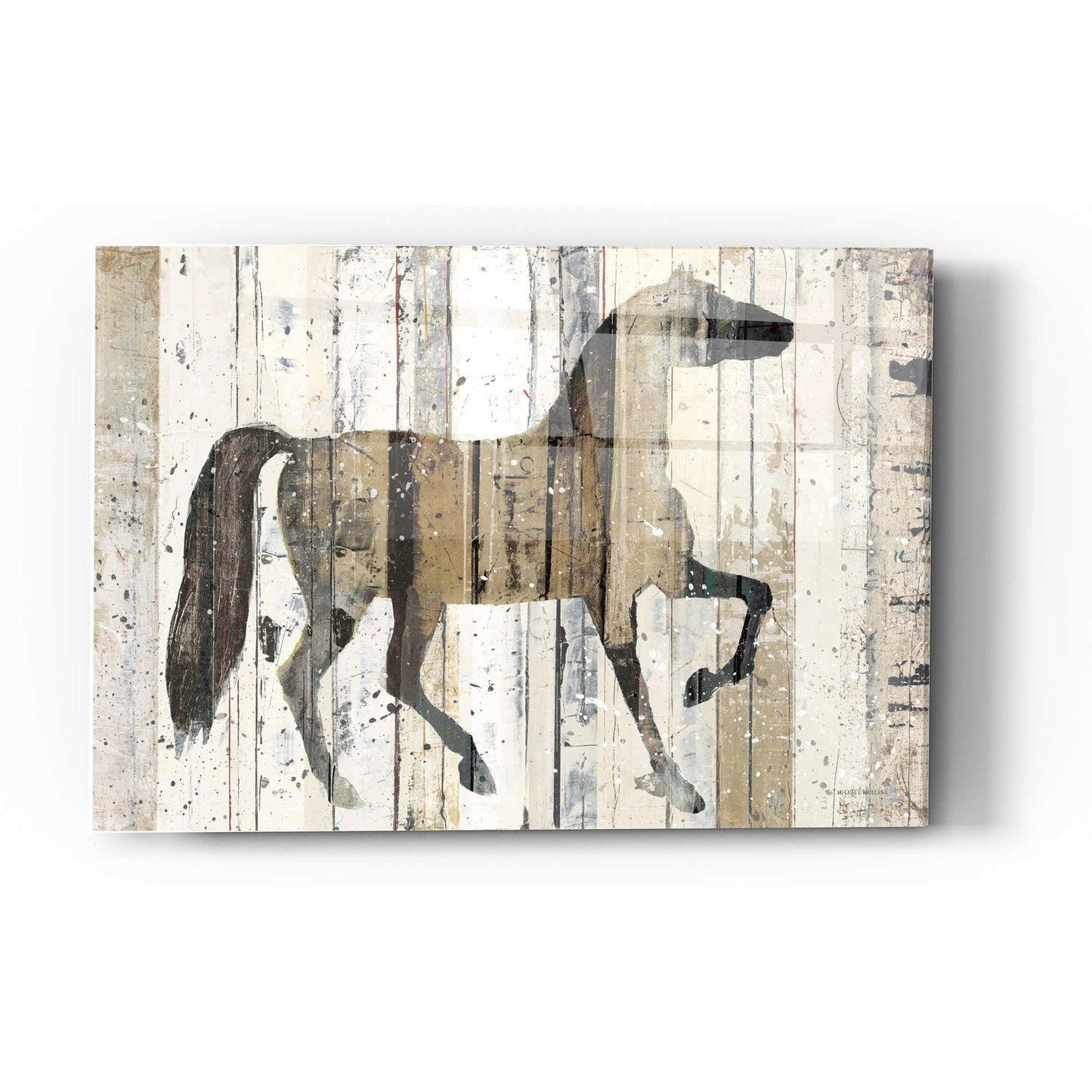 Epic Art 'Dark Horse' by Michael Mullan, Acrylic Glass Wall Art,12 x 16