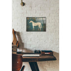 Epic Art 'White Horse No Kentucky' by Ryan Fowler, Acrylic Glass Wall Art,12x16