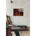 Epic Art 'GLOW' by DB Waterman, Acrylic Glass Wall Art,12x16
