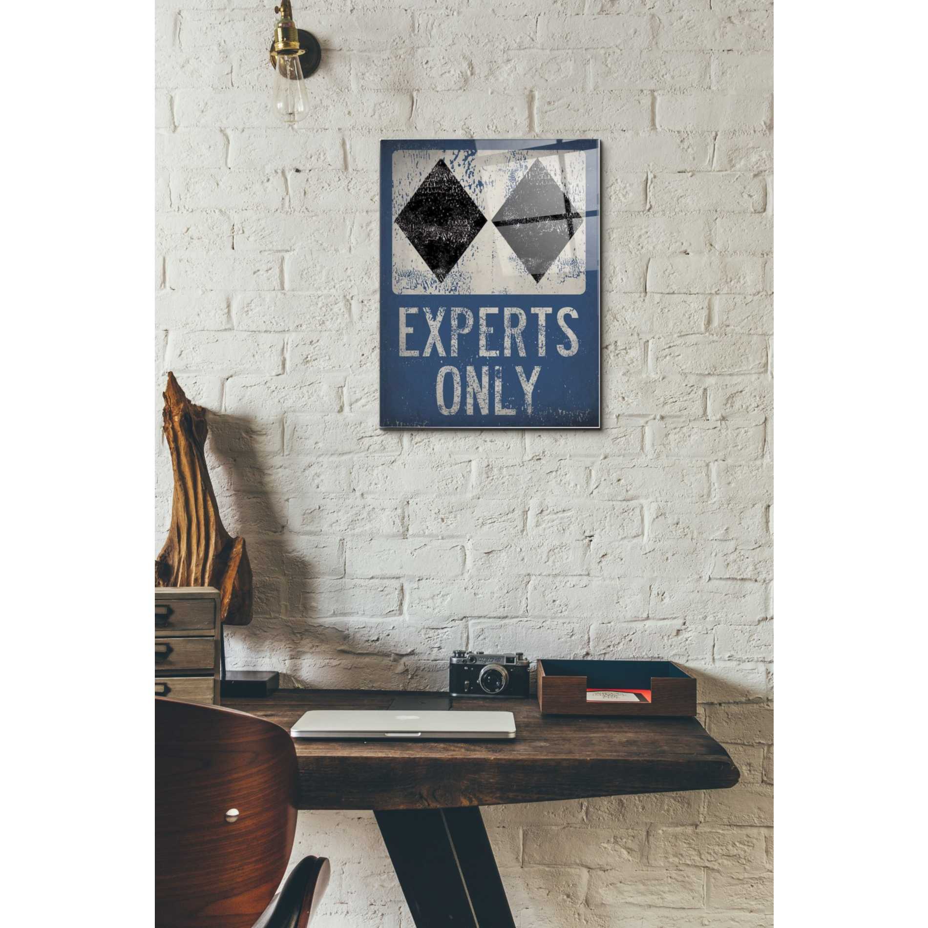 Epic Art 'Experts Only Blue' by Ryan Fowler, Acrylic Glass Wall Art,12x16