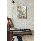 Epic Art 'Graffiti Freedom' by Danhui Nai, Acrylic Glass Wall Art,12x16