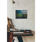 Epic Art 'FIREFLIES' by DB Waterman, Acrylic Glass Wall Art,12x16