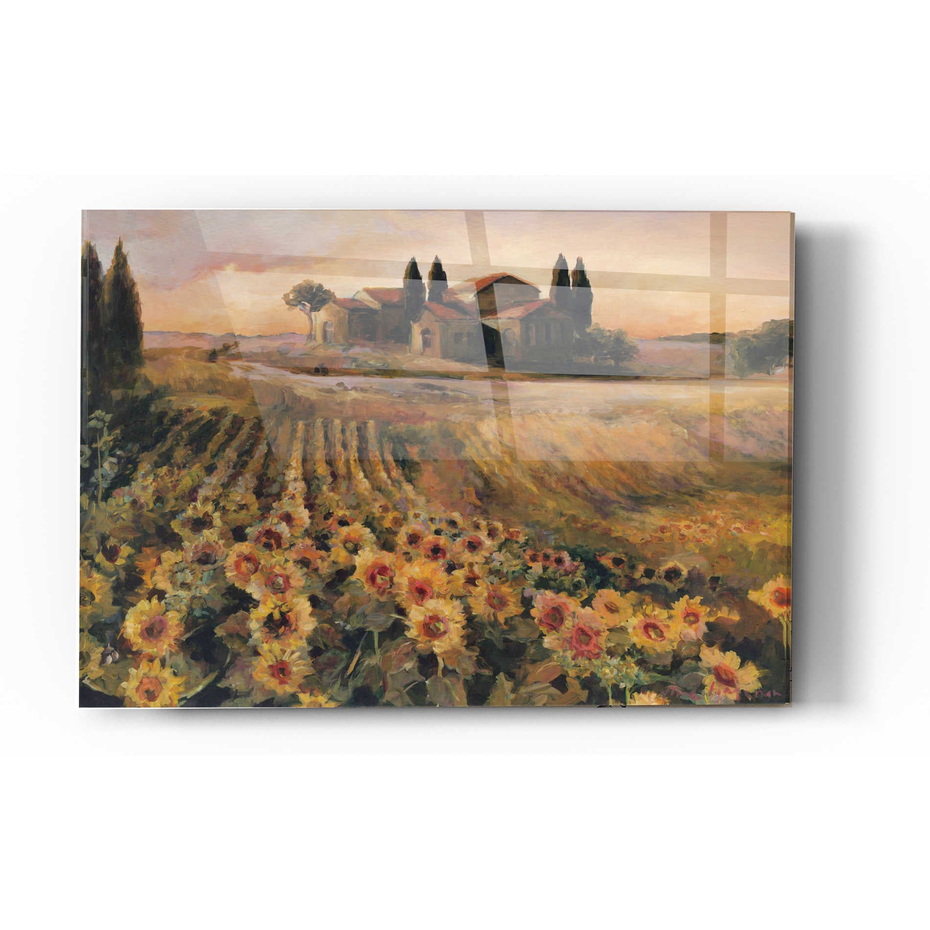 Epic Art 'Sunflowers in Italy' by Marilyn Hageman, Acrylic Glass Wall Art,12x16