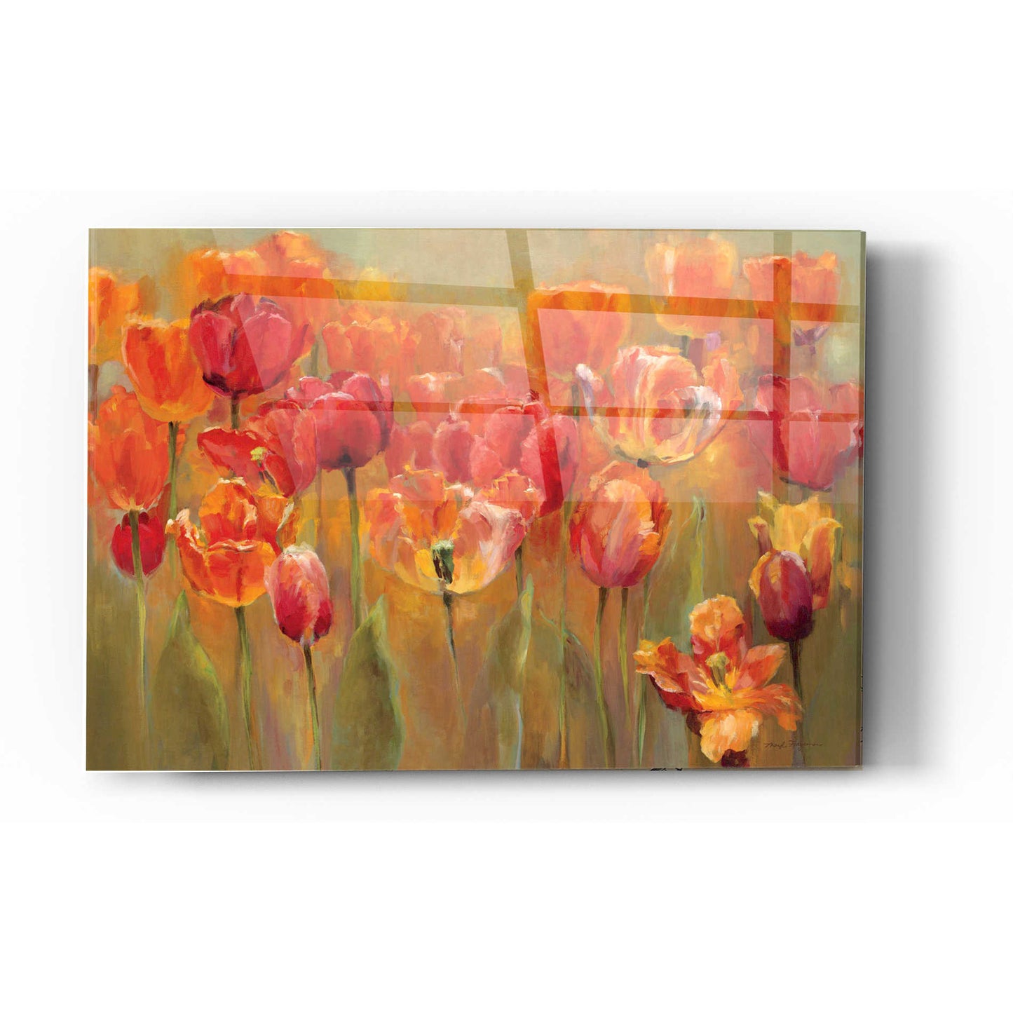 Epic Art 'Tulips in the Midst III' by Marilyn Hageman, Acrylic Glass Wall Art,12x16