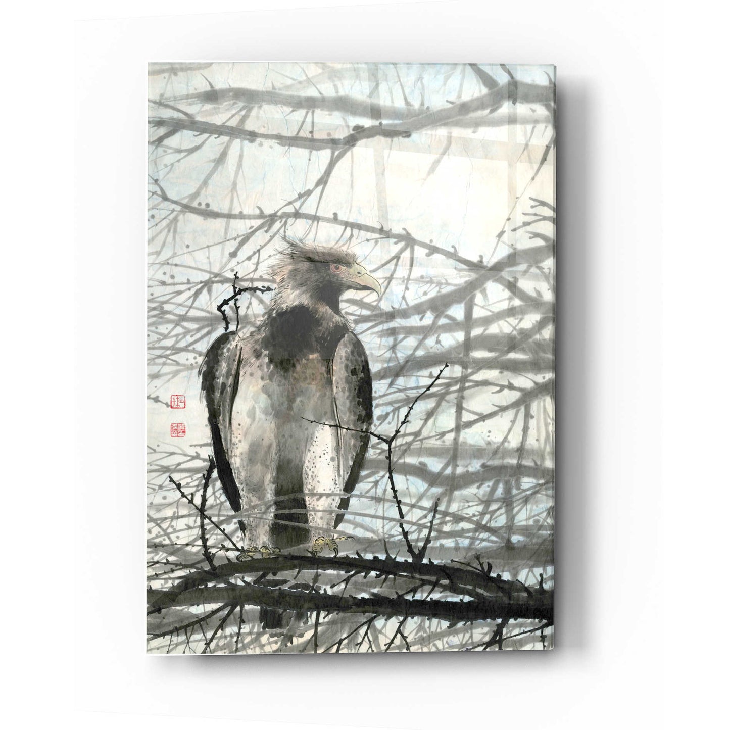 Epic Art 'Bird of Prey' by River Han, Acrylic Glass Wall Art,12x16