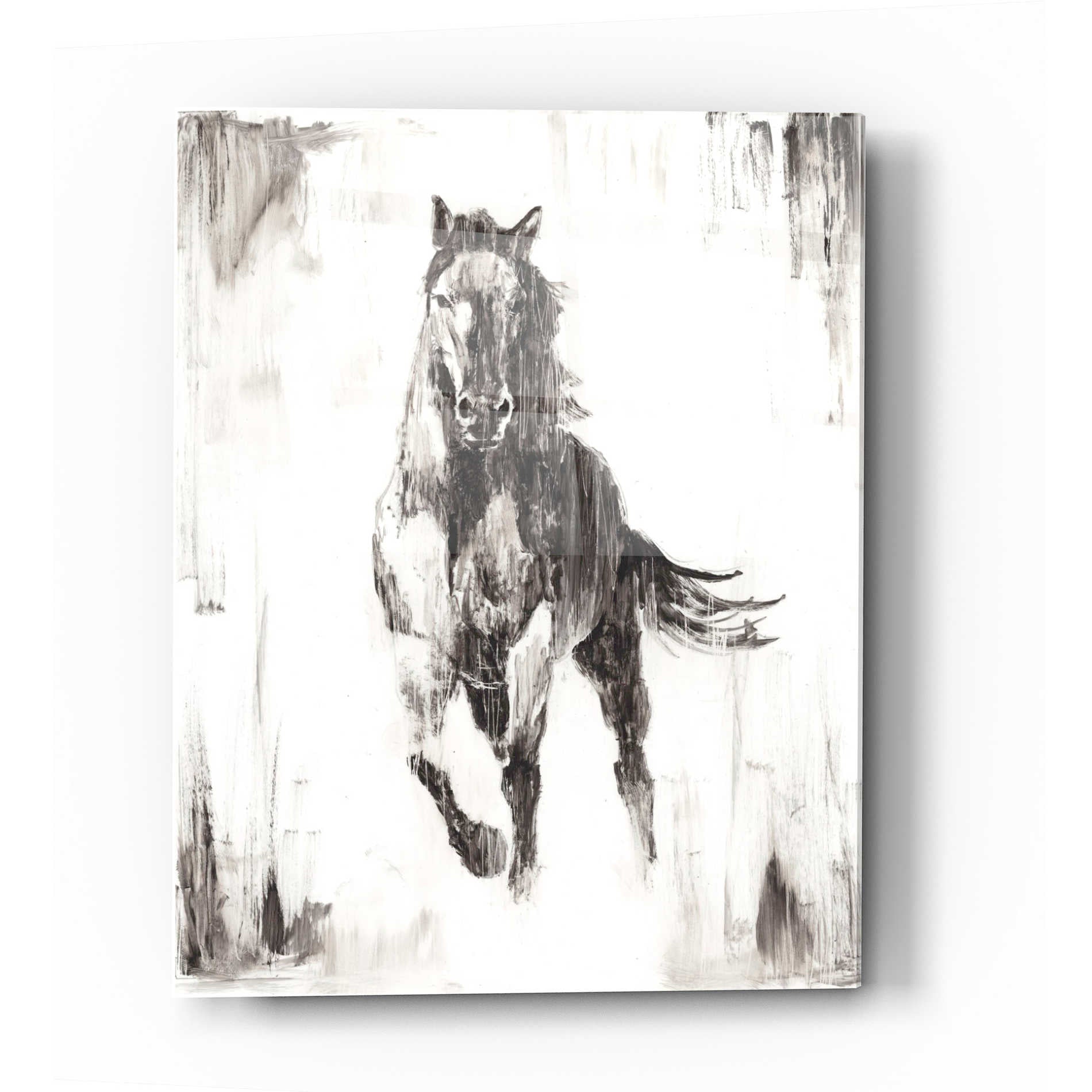 Epic Art 'Rustic Black Stallion II' by Ethan Harper Acrylic Glass Wall Art,12x16