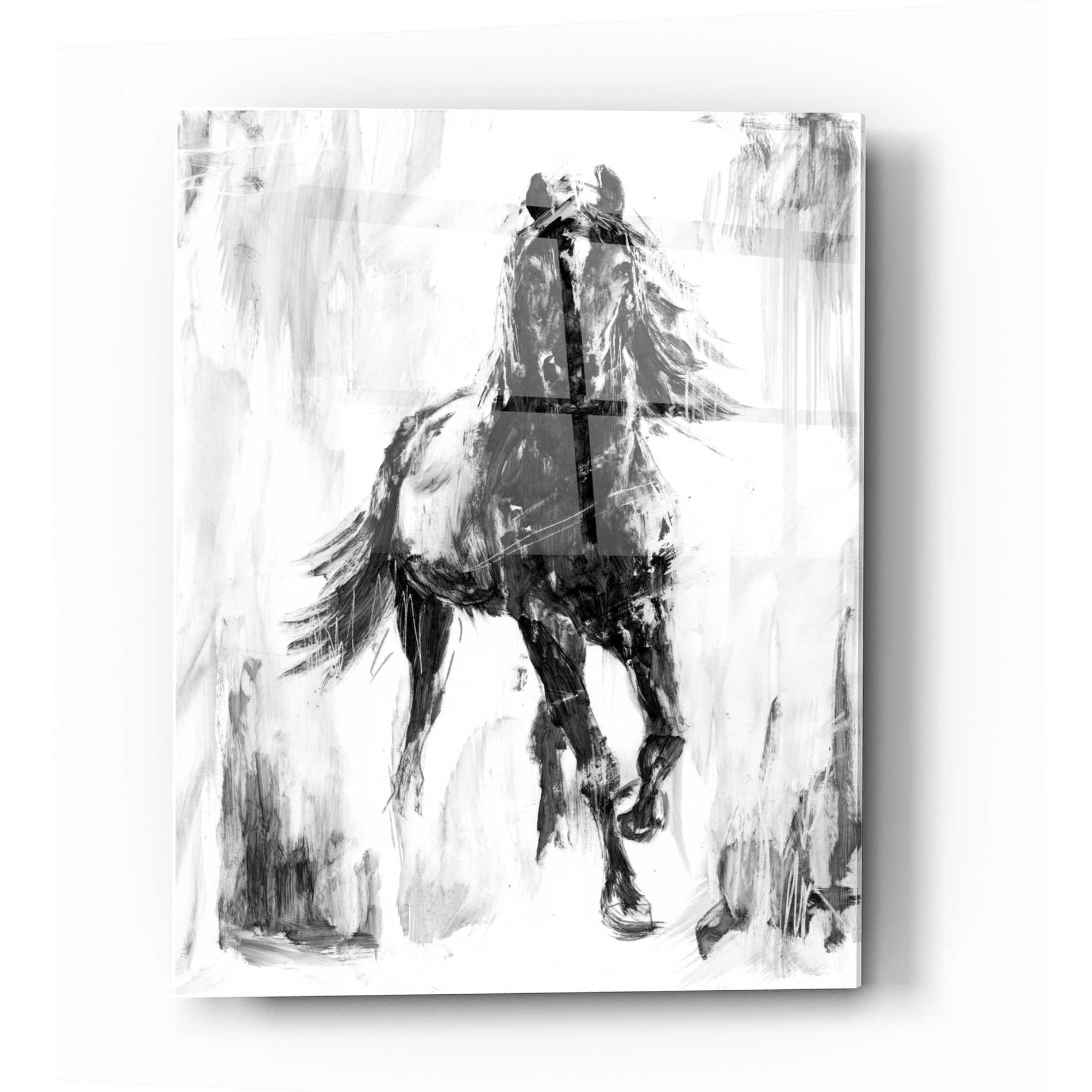 Epic Art 'Rustic Stallion I' by Ethan Harper Acrylic Glass Wall Art,12x16