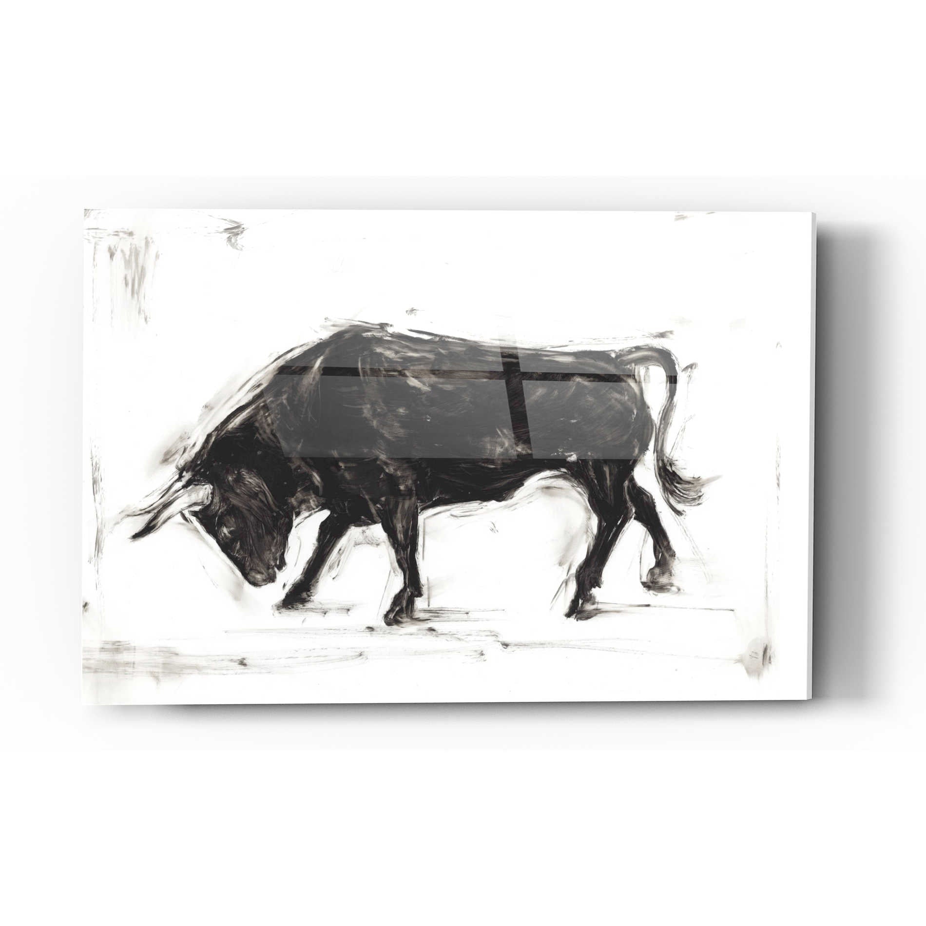 Epic Art 'Toro I' by Ethan Harper Acrylic Glass Wall Art,12x16