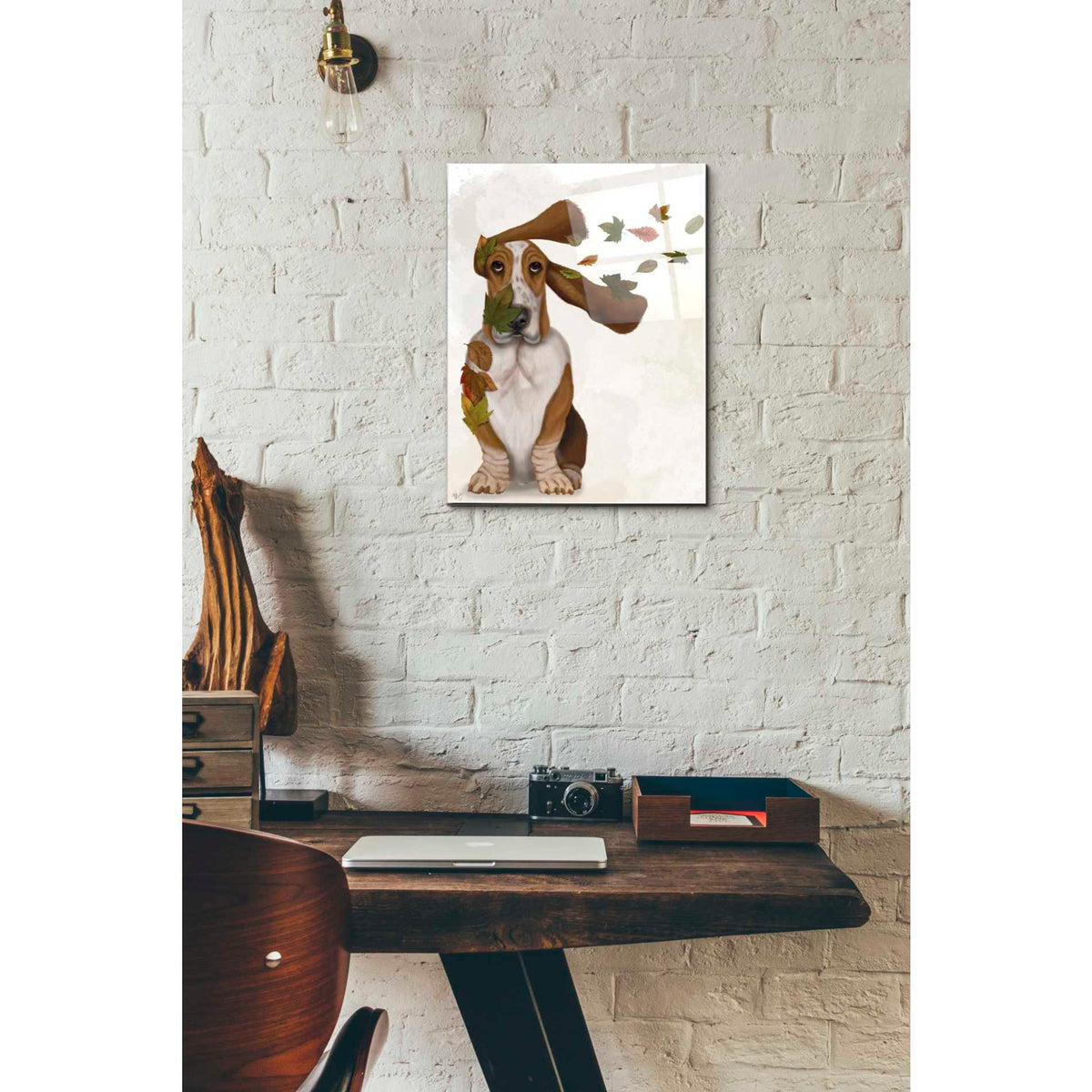 Epic Art 'Basset Hound Windswept and Interesting' by Fab Funky Acrylic Glass Wall Art,12x16