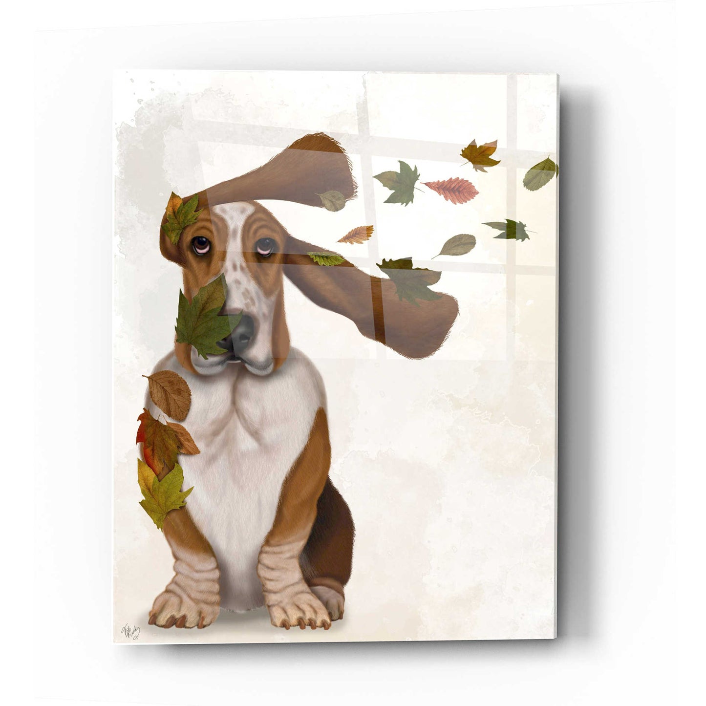 Epic Art 'Basset Hound Windswept and Interesting' by Fab Funky Acrylic Glass Wall Art,12x16