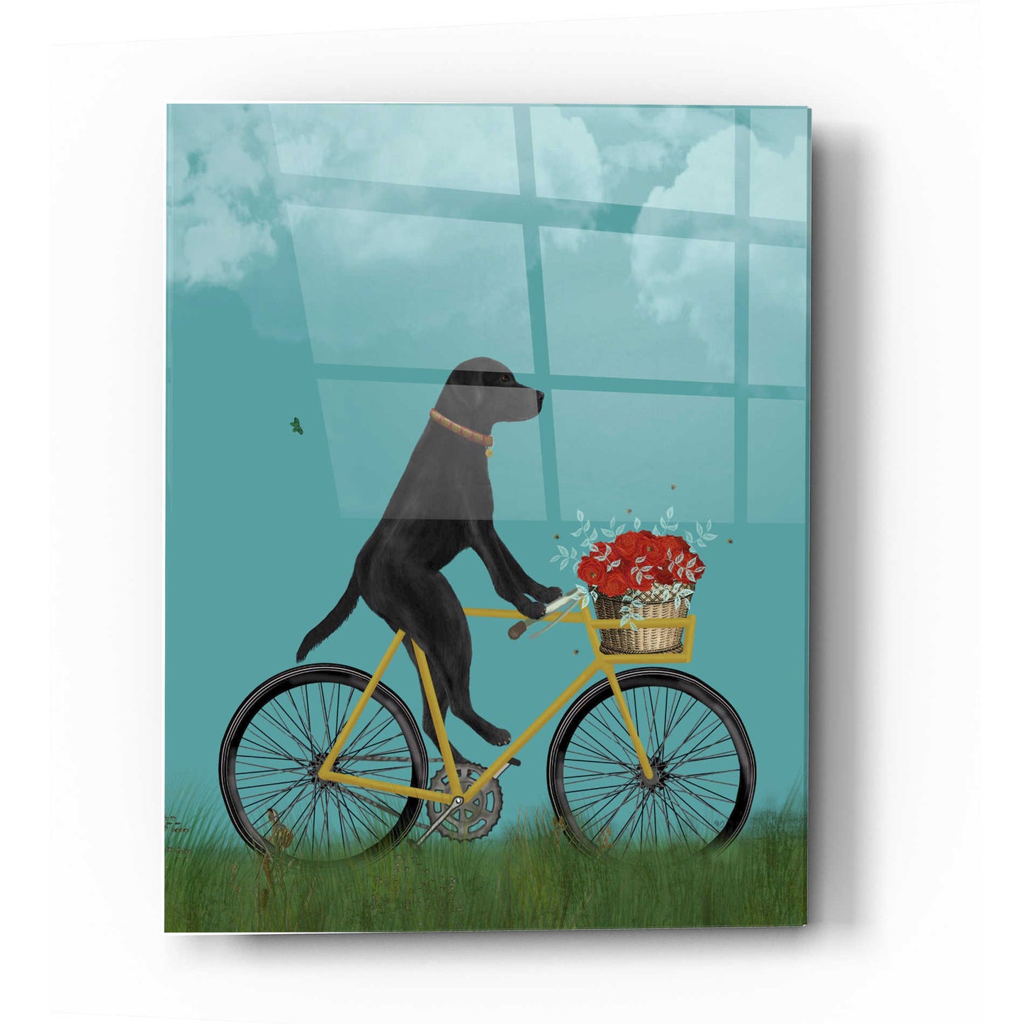 Epic Art 'Black Labrador on Bicycle - Sky' by Fab Funky Acrylic Glass Wall Art,12x16