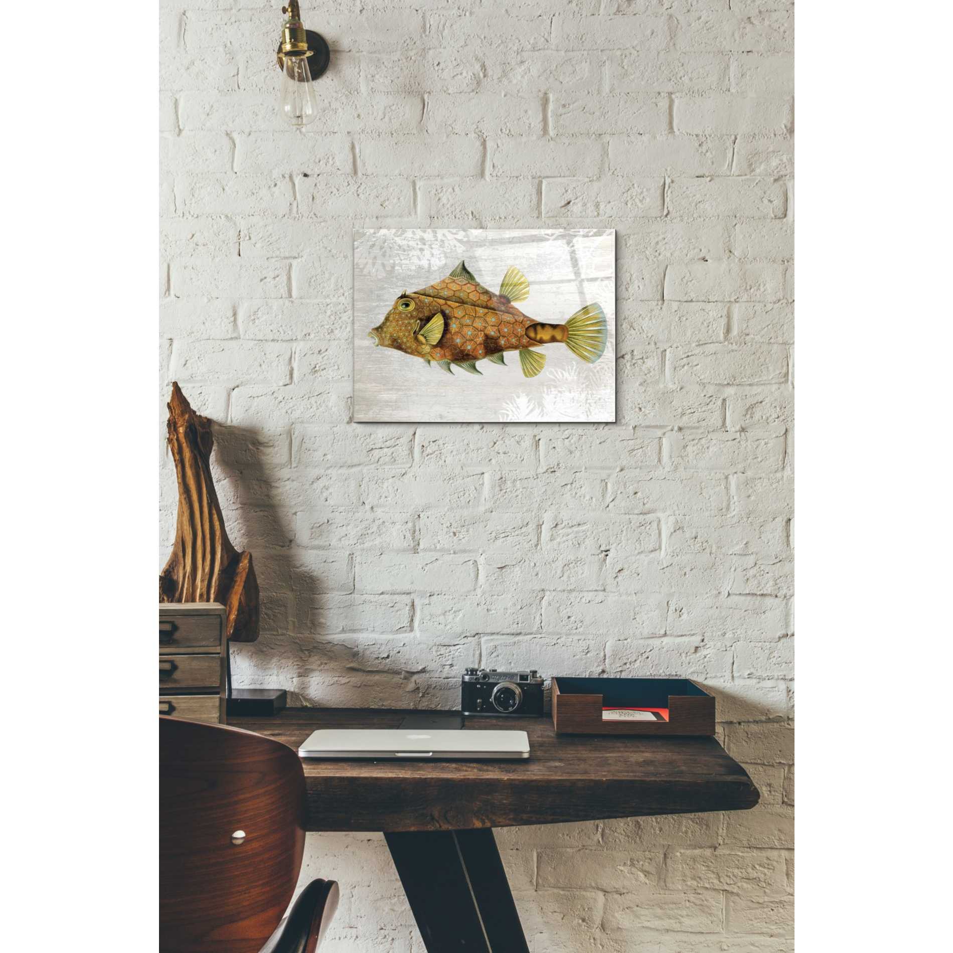 Epic Art 'Gold Turret Fish' by Fab Funky Acrylic Glass Wall Art,12x16