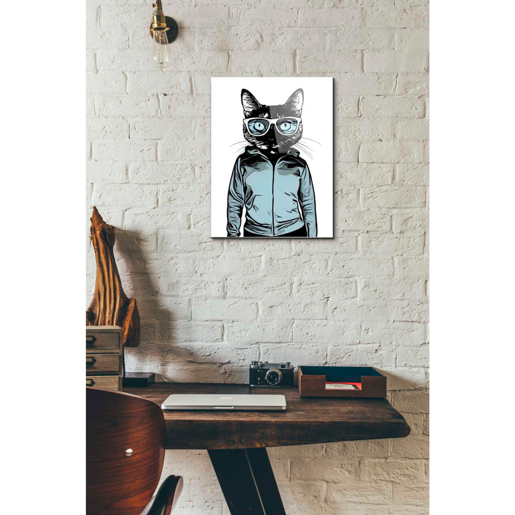 Epic Art 'Cool Cat' by Nicklas Gustafsson, Acrylic Glass Wall Art,12x16