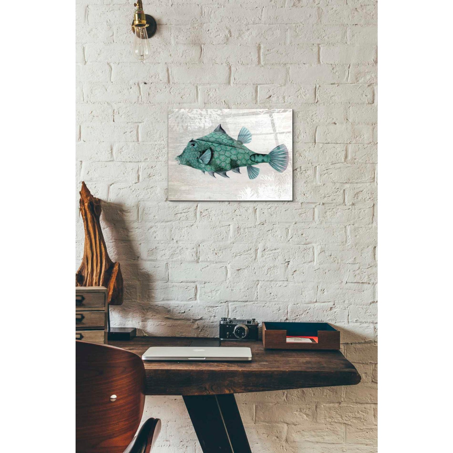 Epic Art 'Turquoise Turret Fish' by Fab Funky Acrylic Glass Wall Art,12x16
