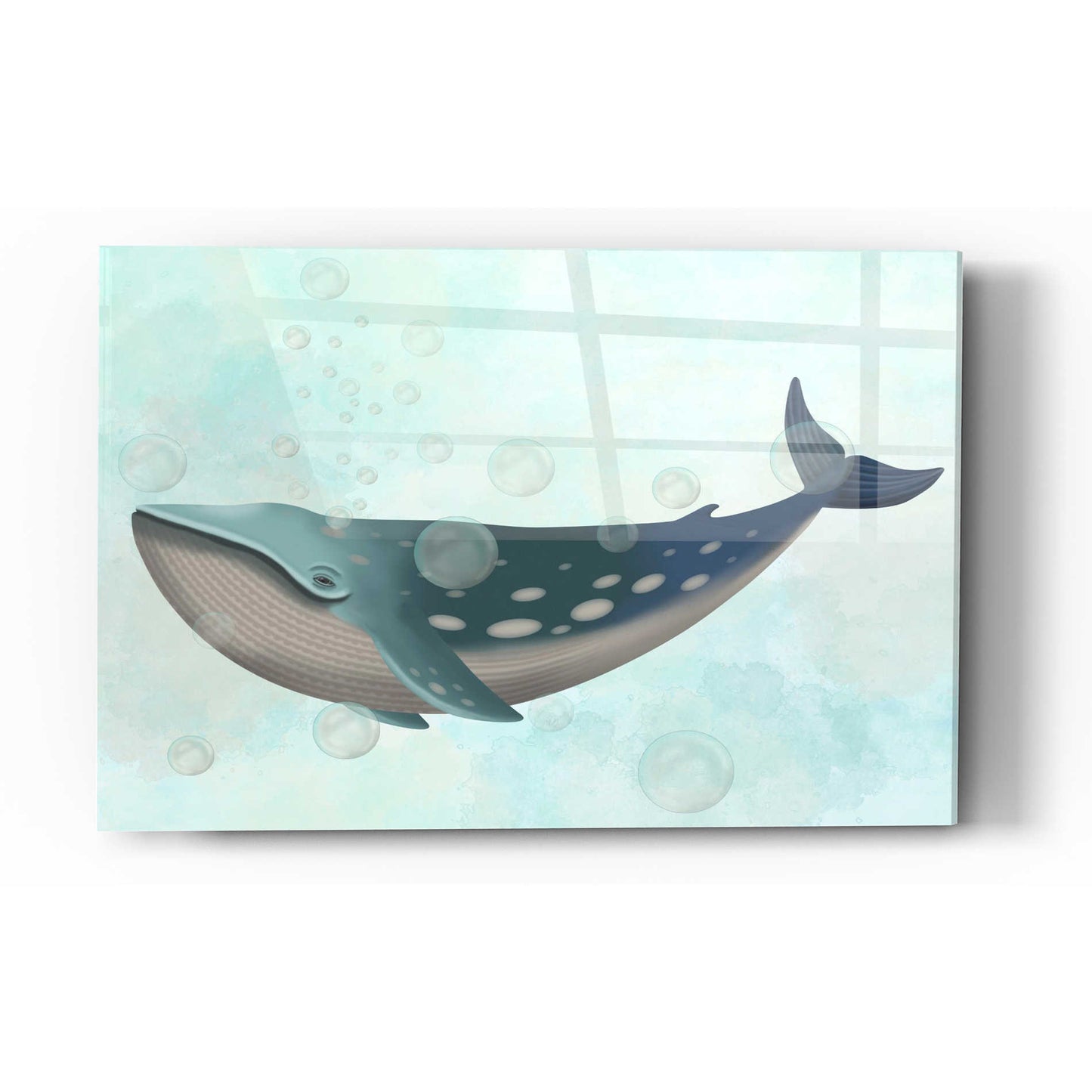 Epic Art 'Whale Bubbles 1' by Fab Funky Acrylic Glass Wall Art,12x16
