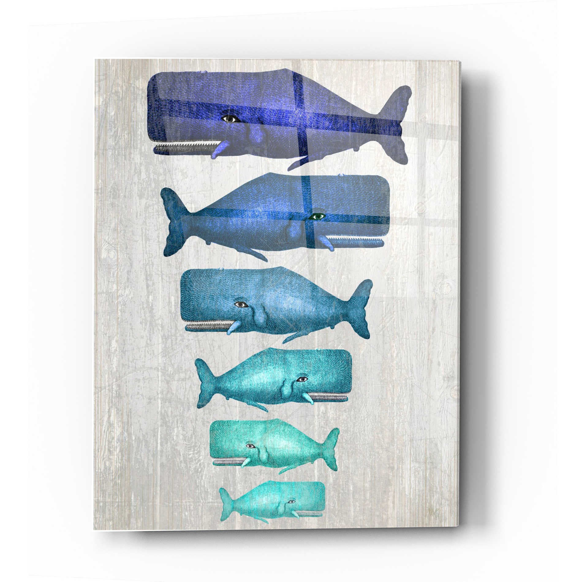 Epic Art 'Whale Family Blue On White' by Fab Funky Acrylic Glass Wall Art,12x16