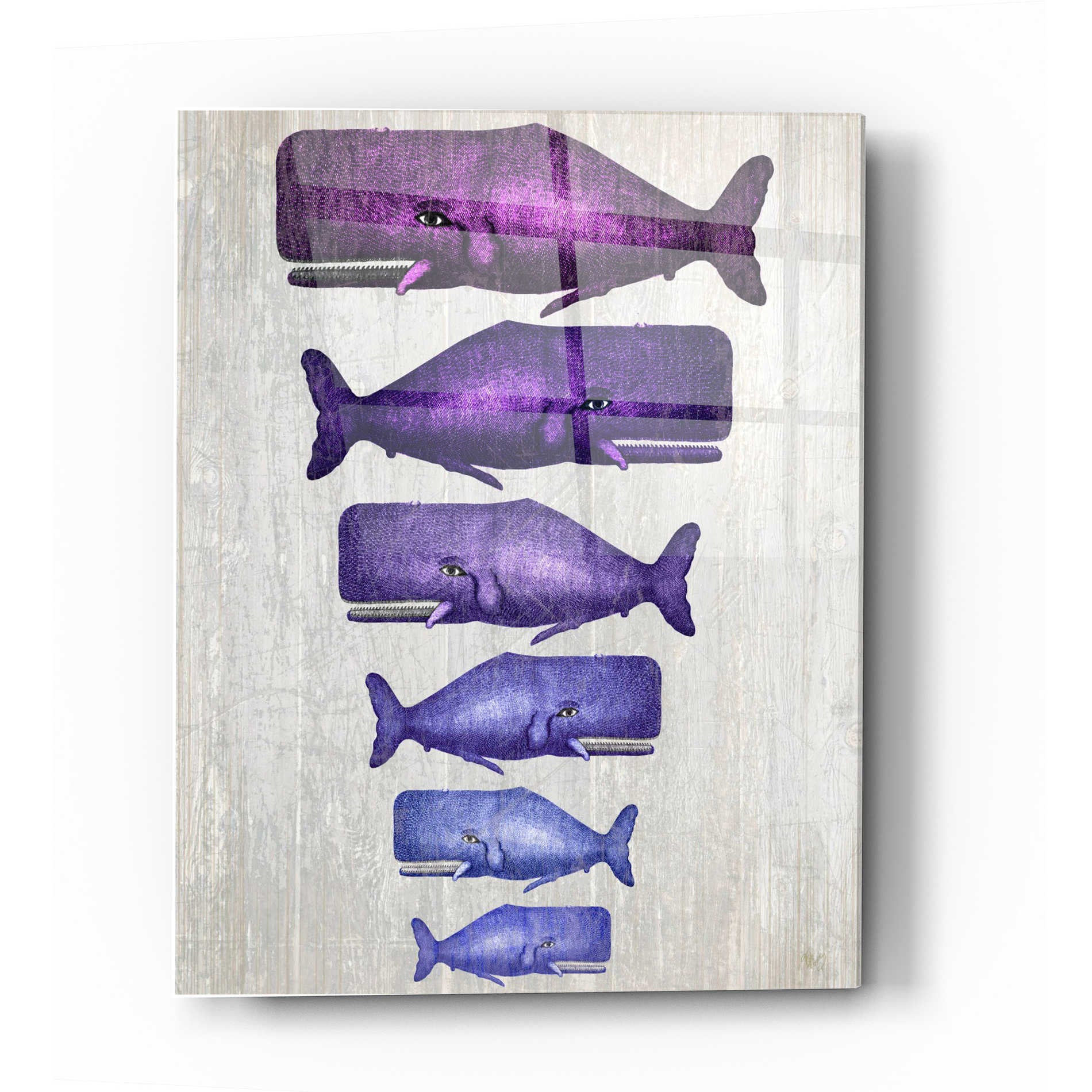Epic Art 'Whale Family Purple on White' by Fab Funky Acrylic Glass Wall Art,12x16