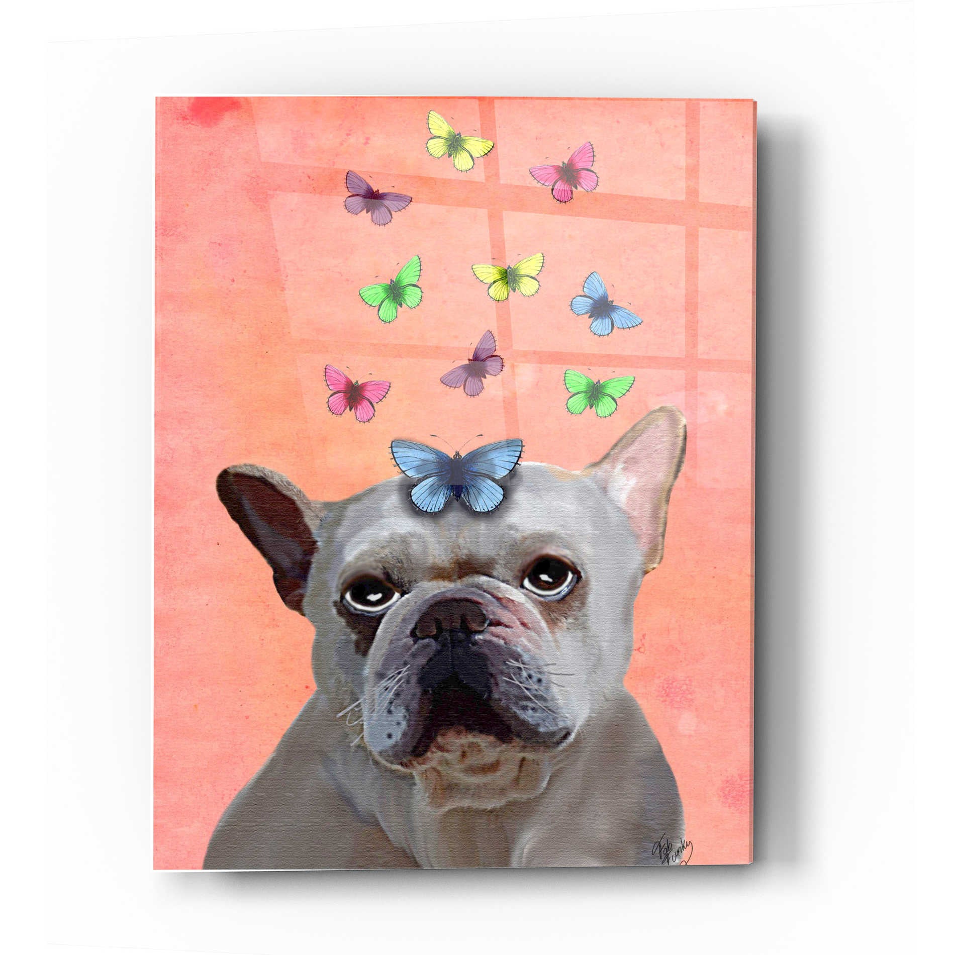 Epic Art 'White French Bulldog and Butterflies' by Fab Funky Acrylic Glass Wall Art,12x16