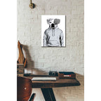 Epic Art 'Cool Dog' by Nicklas Gustafsson, Acrylic Glass Wall Art,12x16