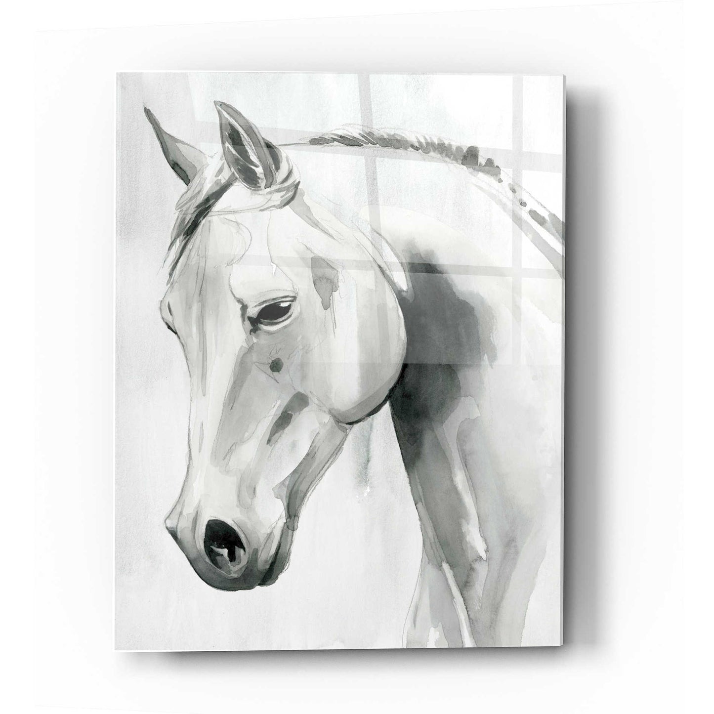 Epic Art 'Horse Whisper I' by Grace Popp Acrylic Glass Wall Art,12x16