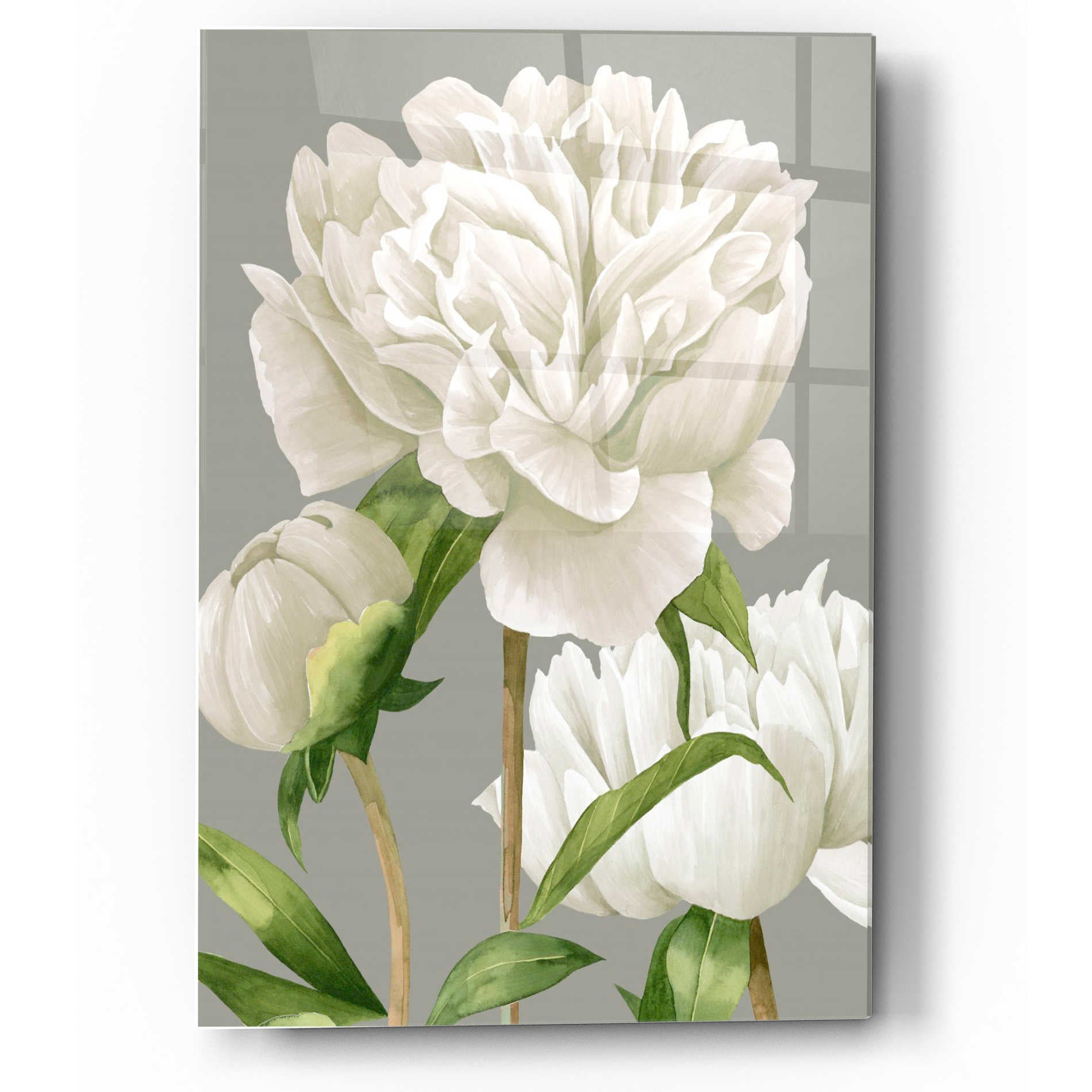 Epic Art 'White Peonies II' by Grace Popp Acrylic Glass Wall Art,12x16