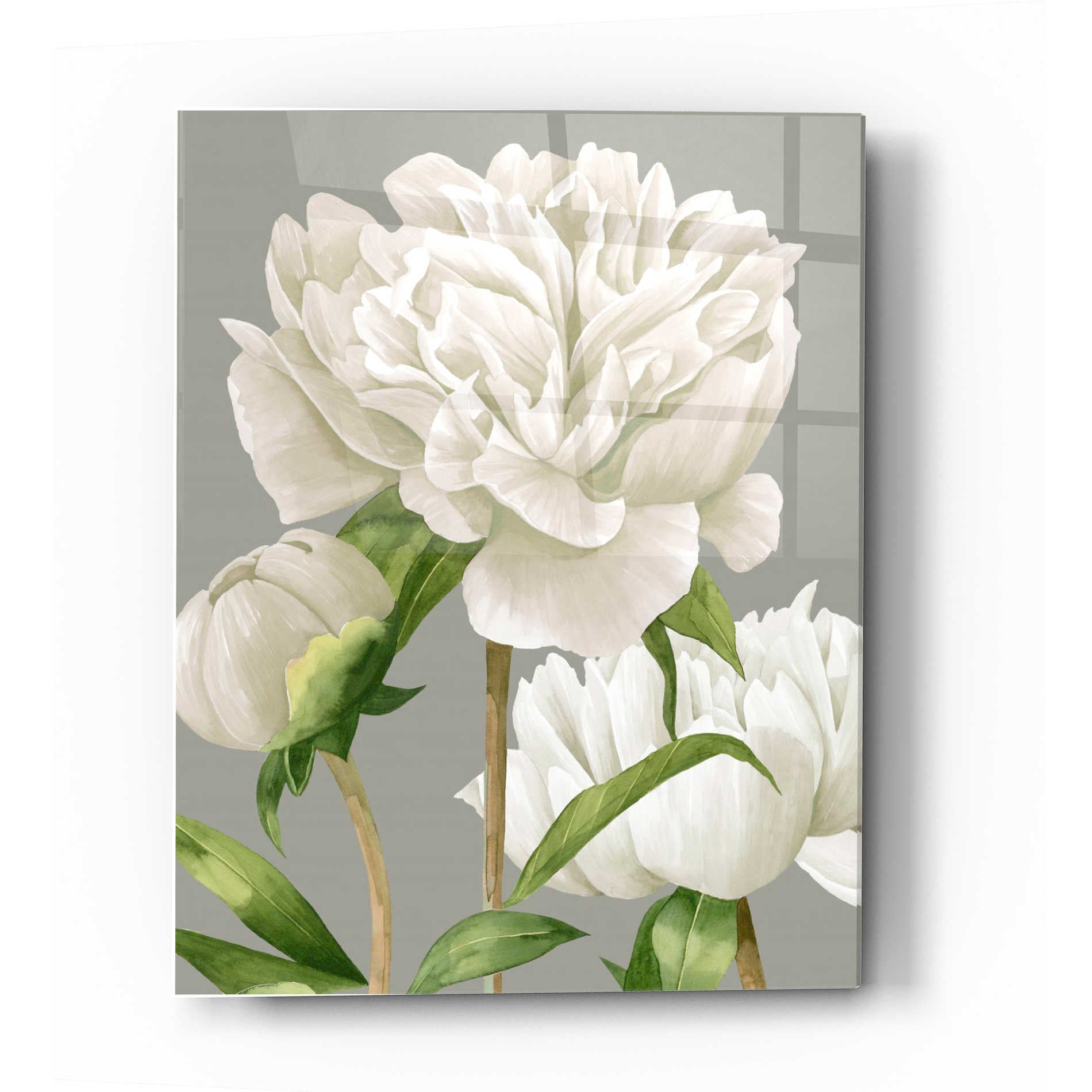 Epic Art 'Winsome Peonies II' by Grace Popp Acrylic Glass Wall Art,12x16