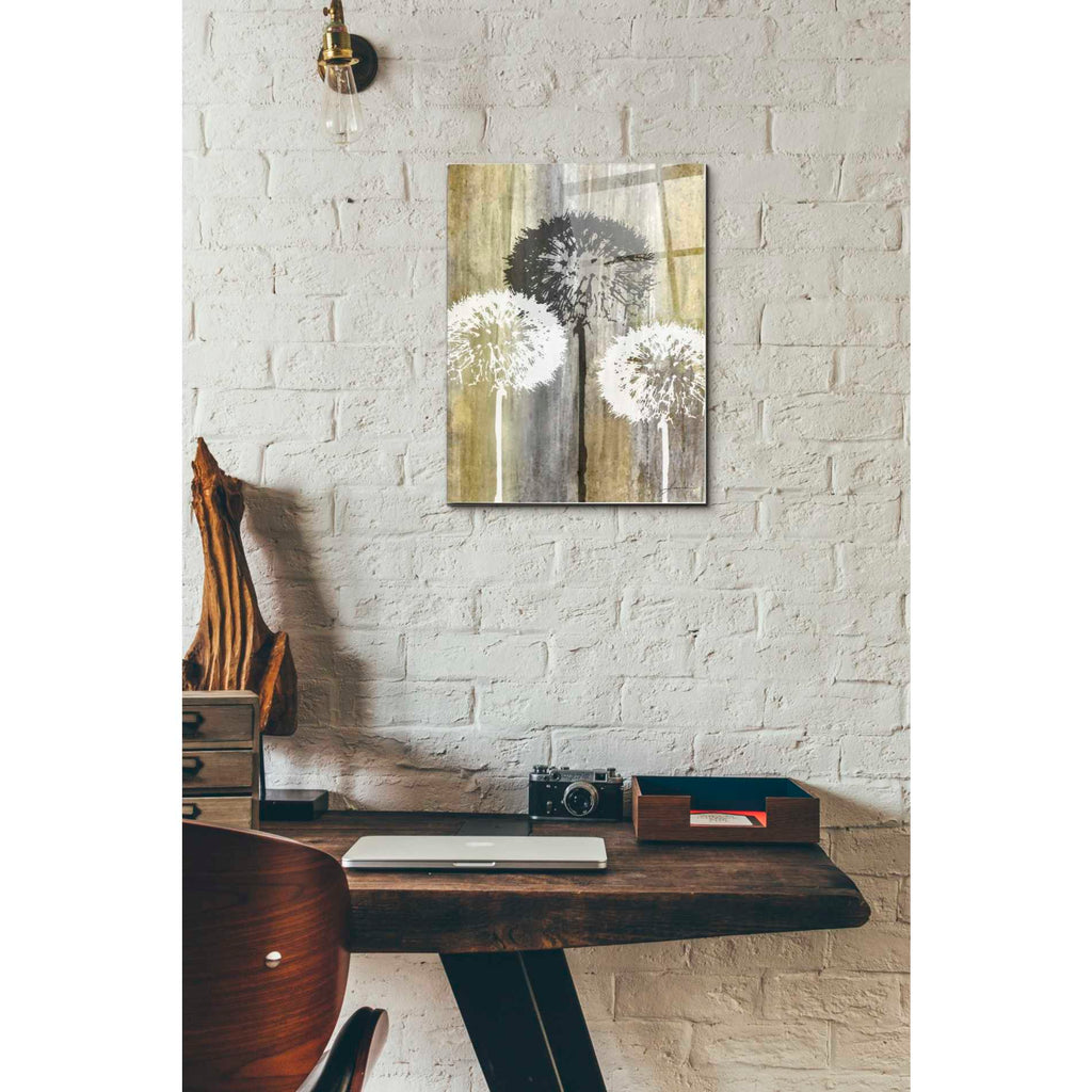 Epic Art 'Rustic Garden II' by James Burghardt, Acrylic Glass Wall Art,12x16