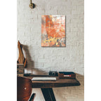 Epic Art 'Terre Cotta Lace I' by Jennifer Goldberger Acrylic Glass Wall Art,12x16