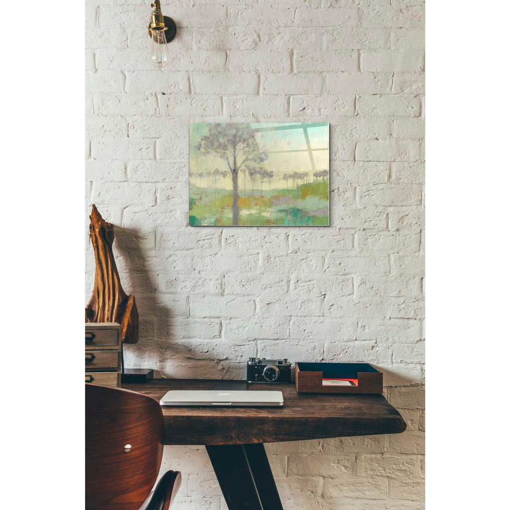 Epic Art 'Tree Stand II' by Jennifer Goldberger Acrylic Glass Wall Art,12x16