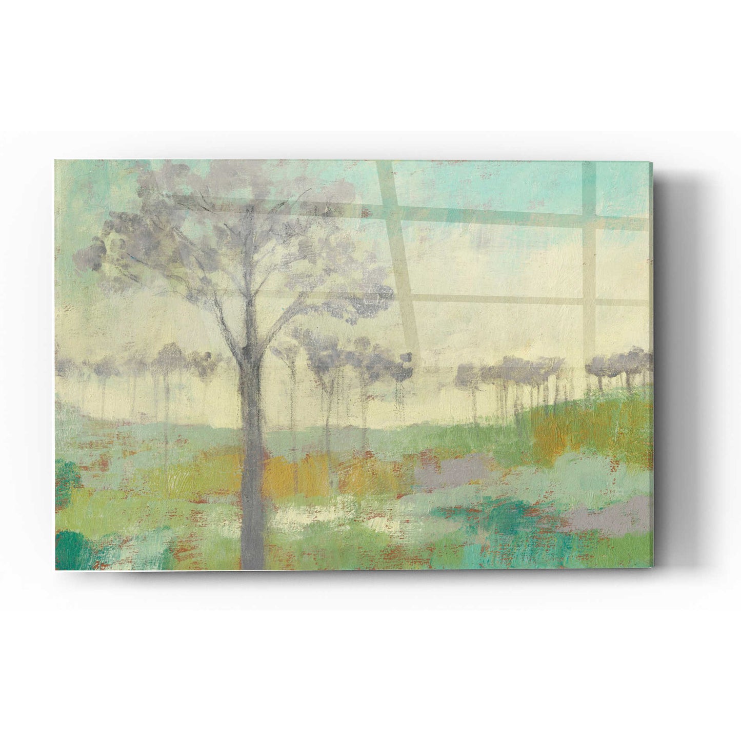Epic Art 'Tree Stand II' by Jennifer Goldberger Acrylic Glass Wall Art,12x16