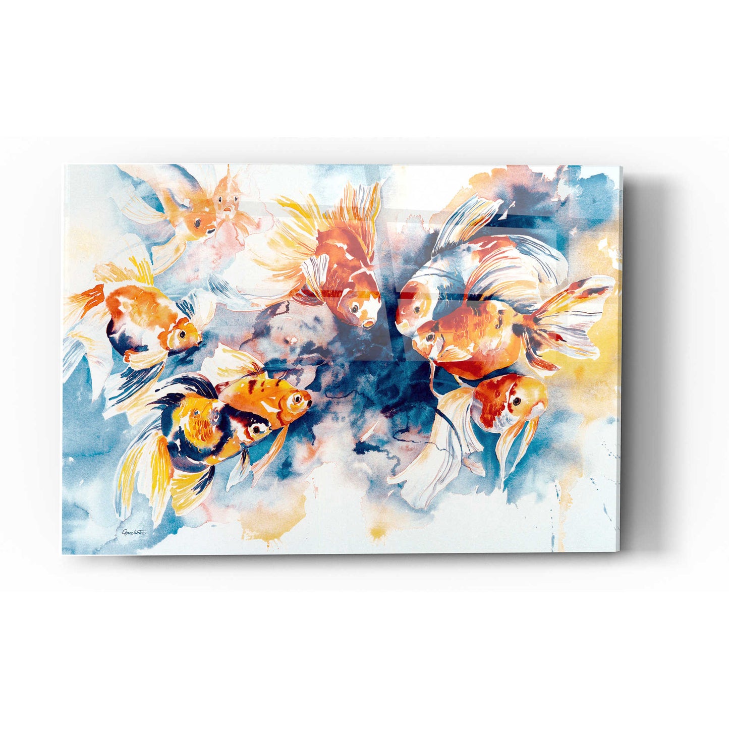 Epic Art 'Goldfish in Color' by Anne Waters, Acrylic Glass Wall Art,12x16