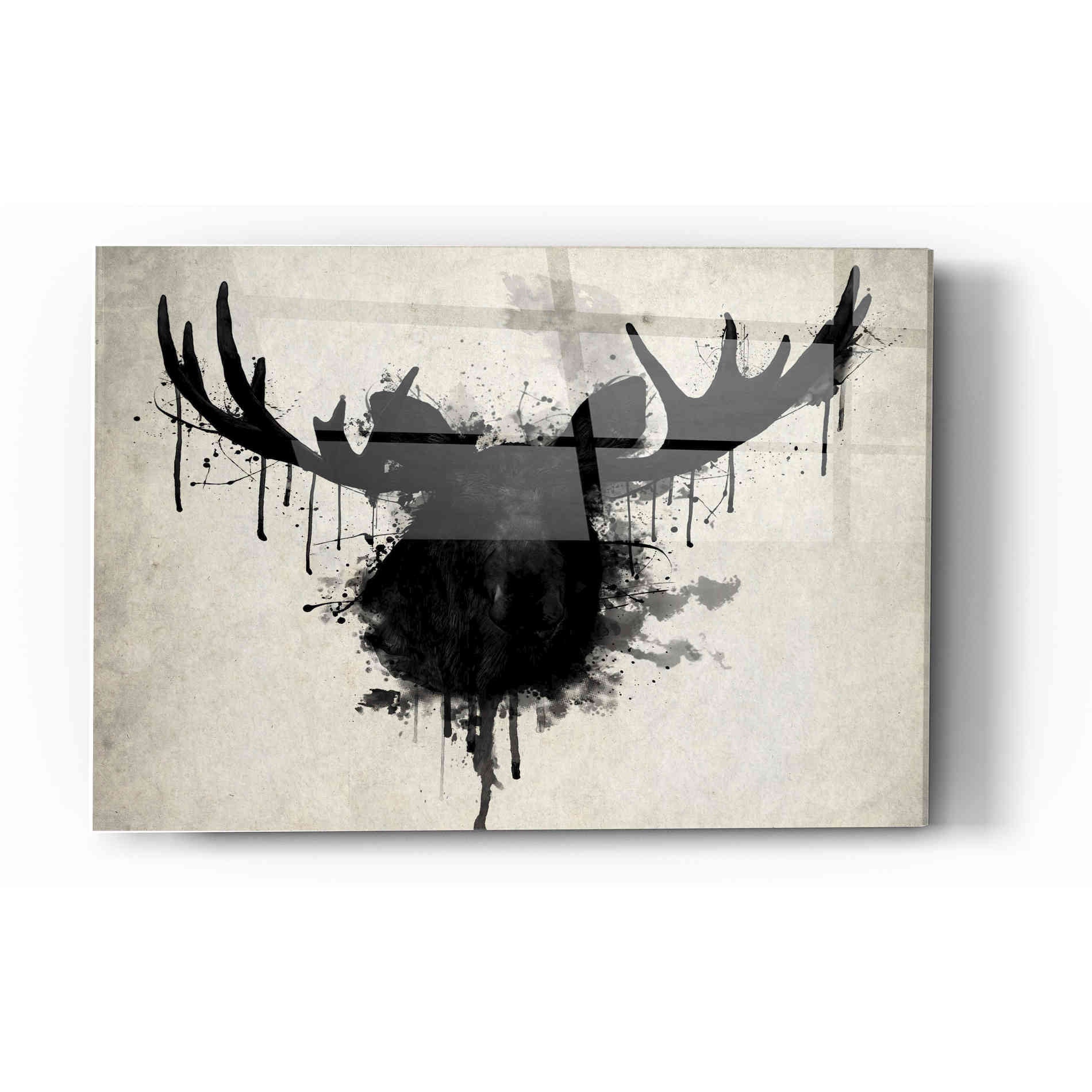 Epic Art 'Moose' by Nicklas Gustafsson, Acrylic Glass Wall Art,12x16