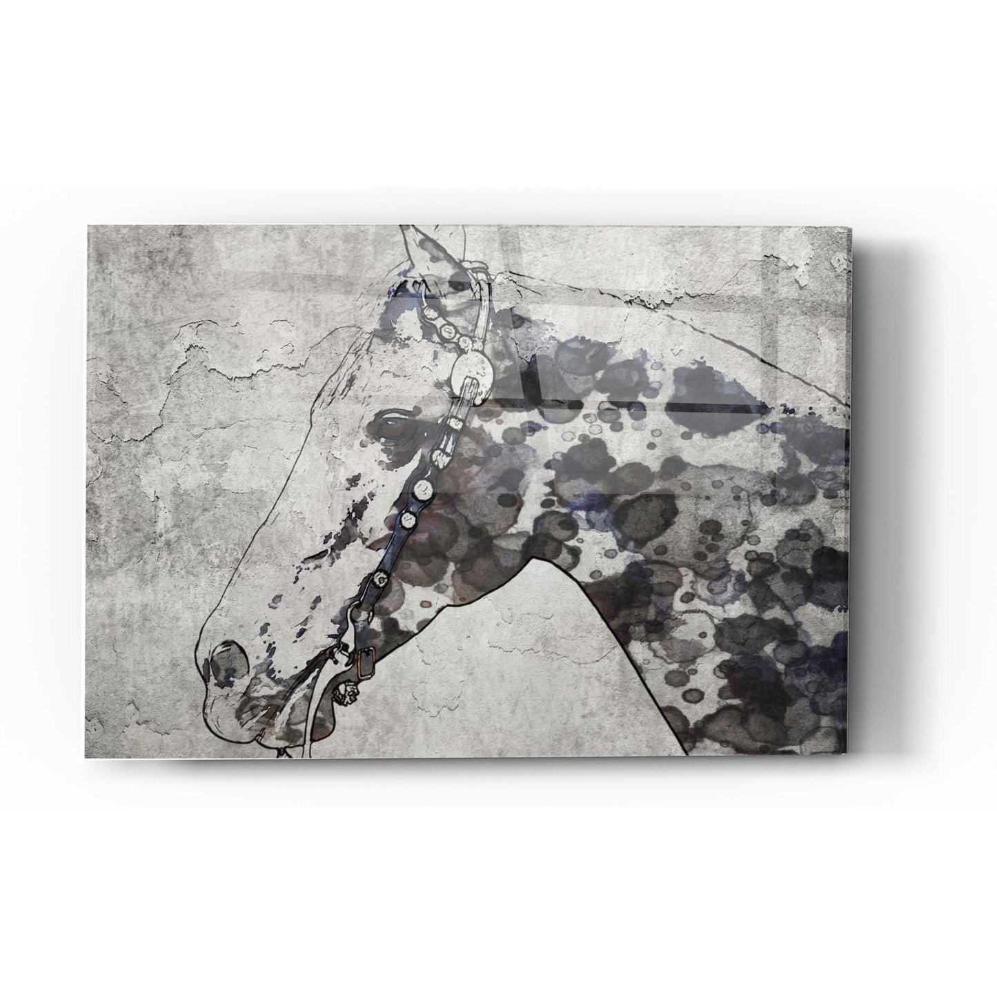 Epic Art 'Black Ghost Horse 2' by Irena Orlov, Acrylic Glass Wall Art,12x16