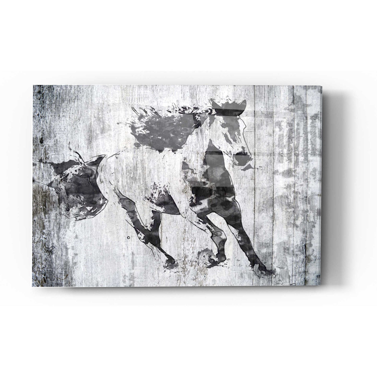Epic Art 'Running Black Horse 1' by Irena Orlov, Acrylic Glass Wall Art,12x16
