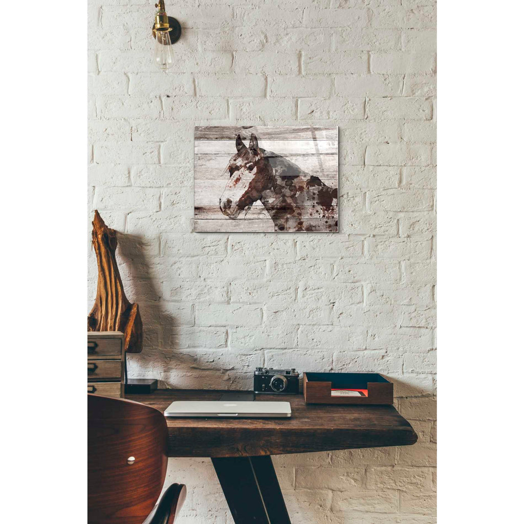 Epic Art 'Jalisco Horse' by Irena Orlov, Acrylic Glass Wall Art,12x16