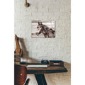 Epic Art 'Jalisco Horse' by Irena Orlov, Acrylic Glass Wall Art,12x16