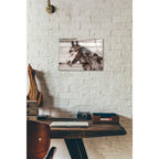 Epic Art 'Jalisco Horse' by Irena Orlov, Acrylic Glass Wall Art,12x16