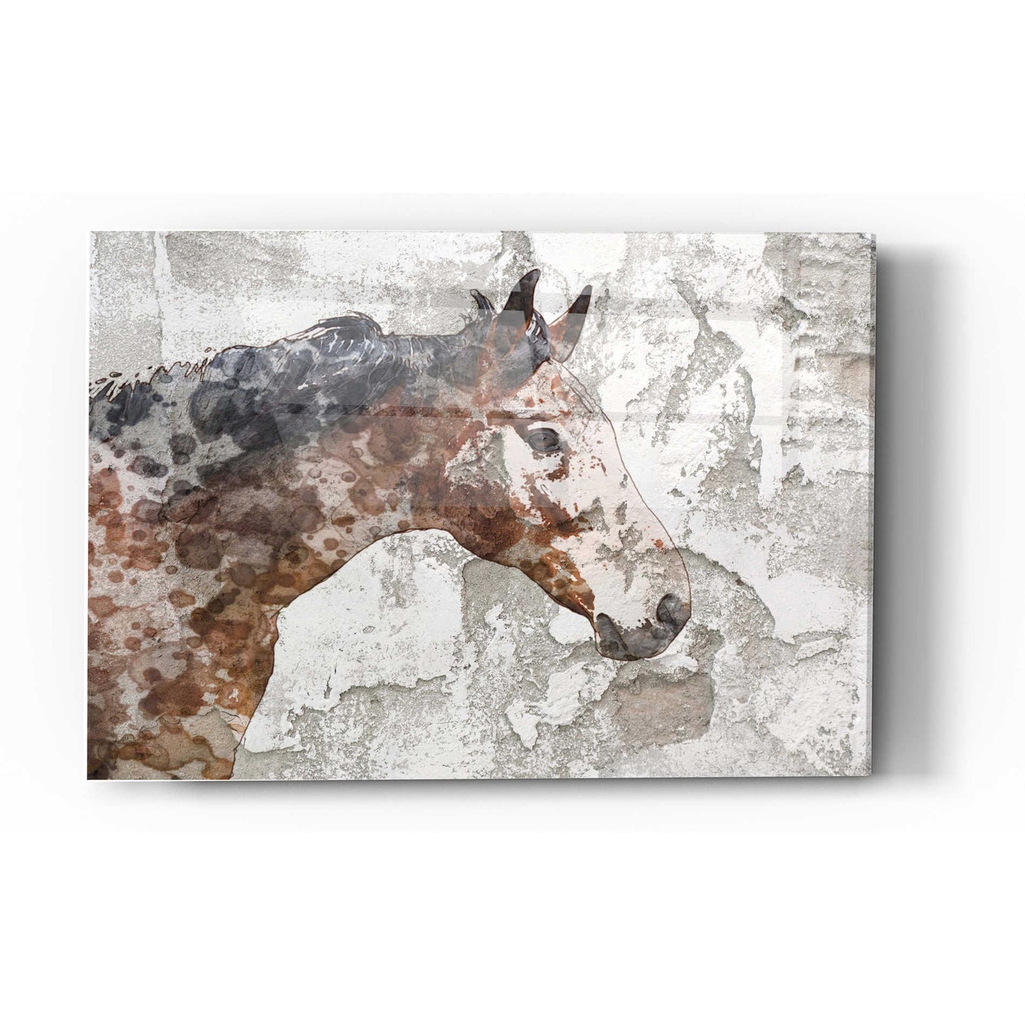 Epic Art 'Rustic Brown Horse' by Irena Orlov, Acrylic Glass Wall Art,12x16