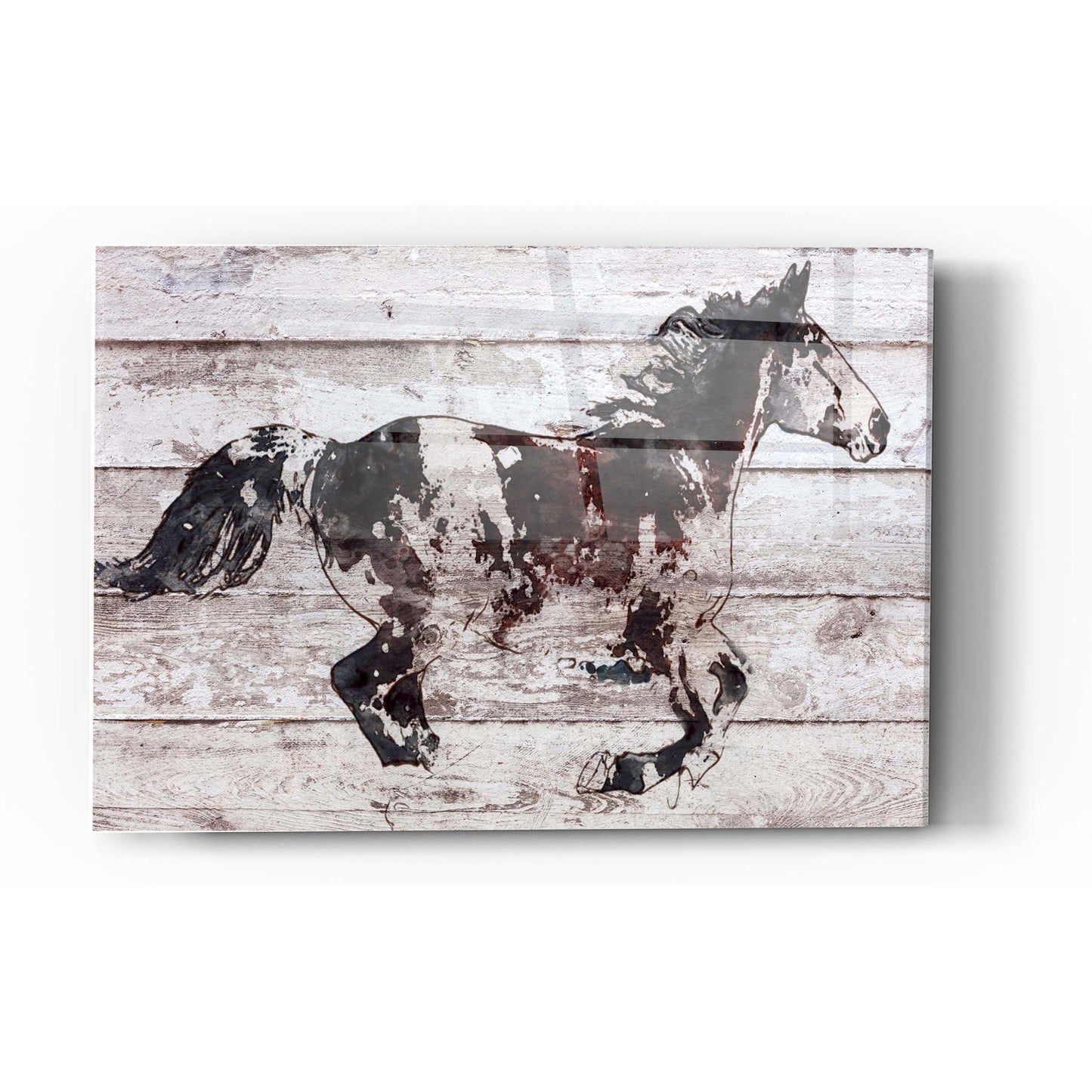 Epic Art 'Running Arabian Horse' by Irena Orlov, Acrylic Glass Wall Art,12x16