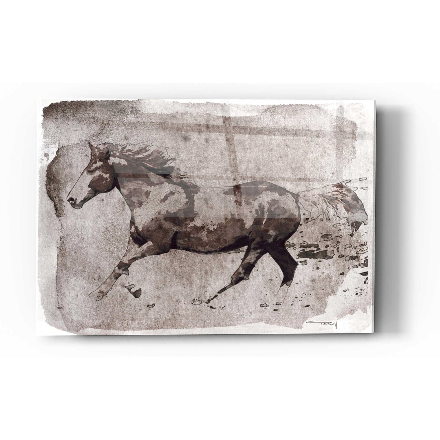 Epic Art 'Brown Horse Running' by Irena Orlov, Acrylic Glass Wall Art,12x16