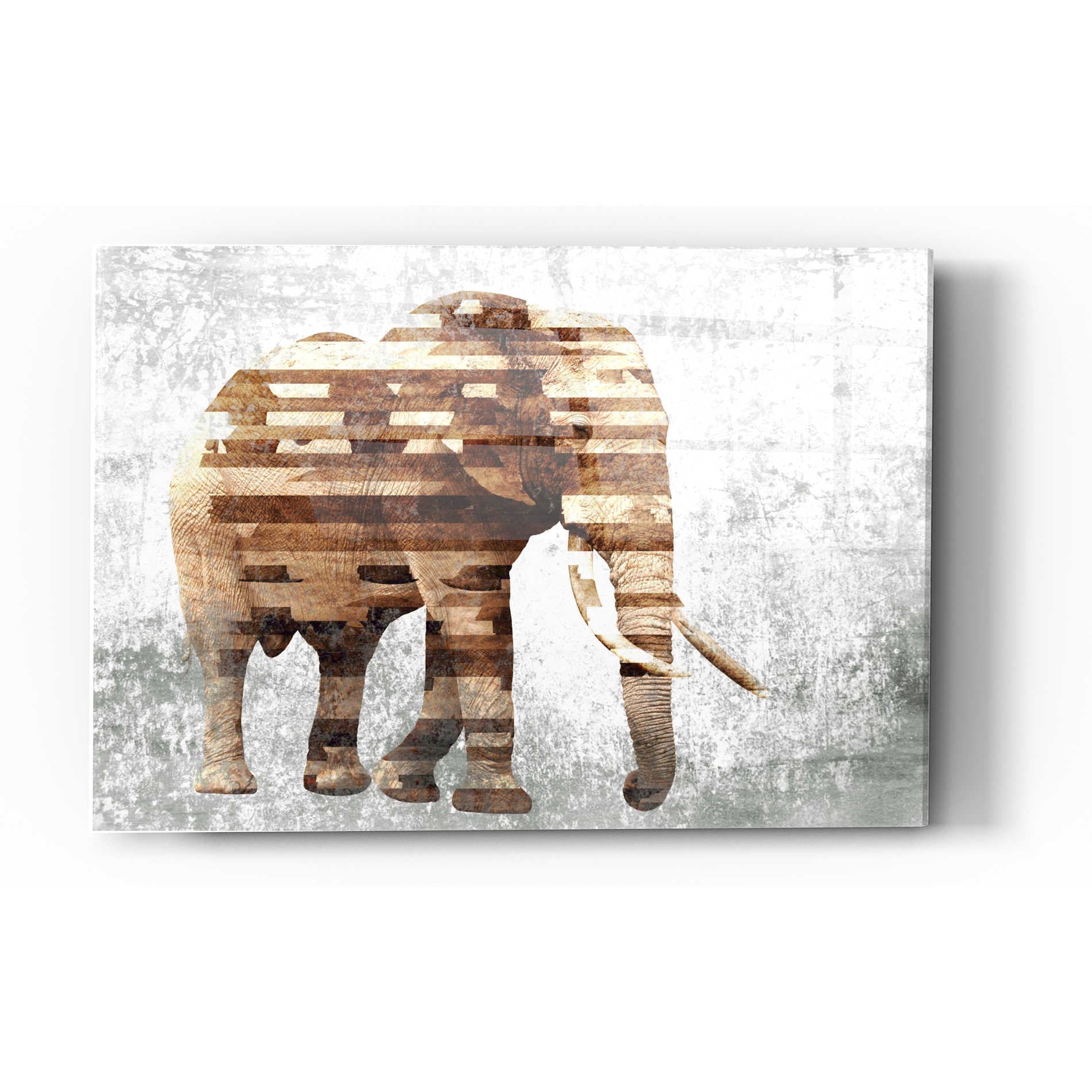 Epic Art 'Rustic Brown Elephant' by Irena Orlov, Acrylic Glass Wall Art,12x16