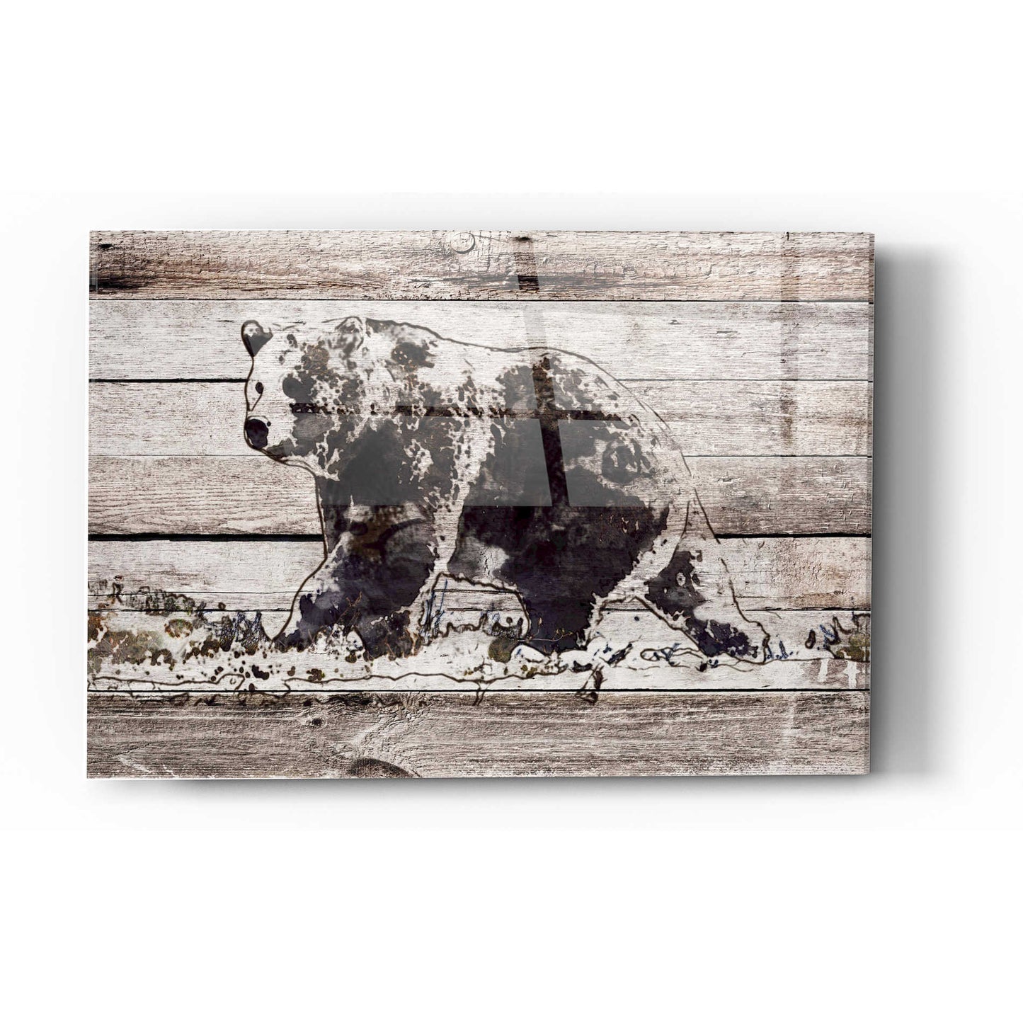 Epic Art 'Black Bear 1' by Irena Orlov, Acrylic Glass Wall Art,12x16