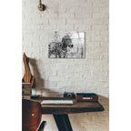 Epic Art 'Rustic Zebra 1' by Irena Orlov, Acrylic Glass Wall Art,12x16