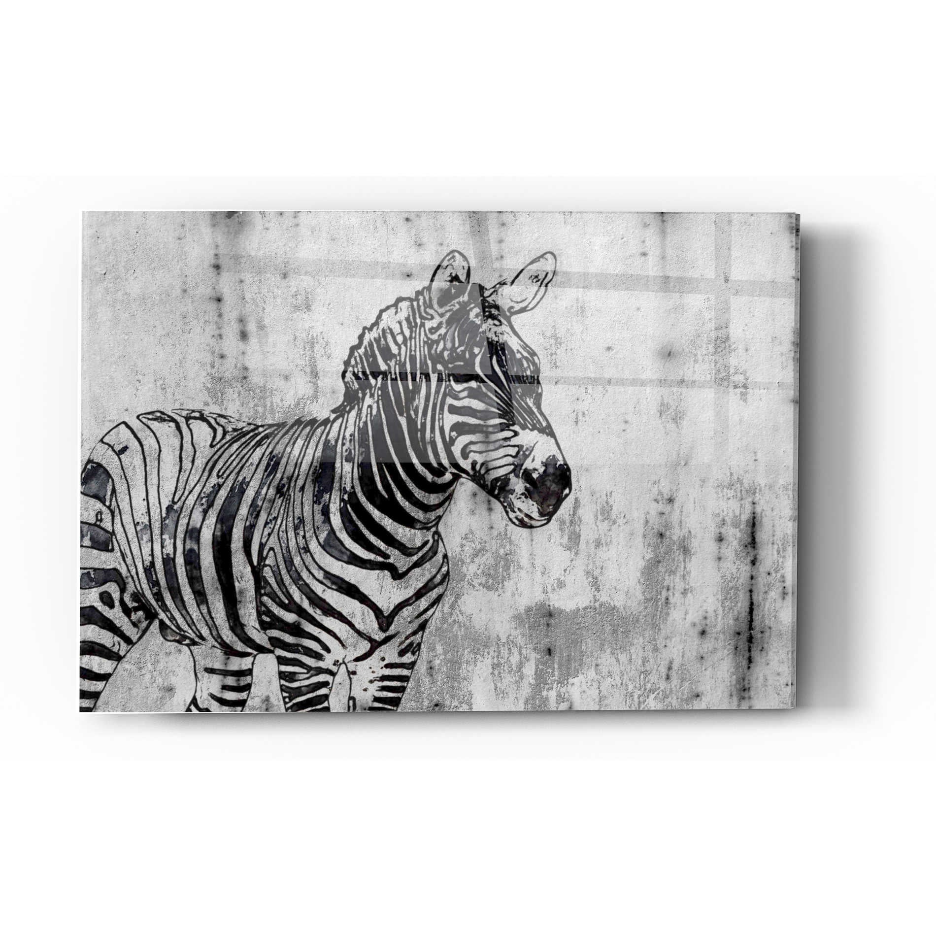 Epic Art 'Rustic Zebra 1' by Irena Orlov, Acrylic Glass Wall Art,12x16